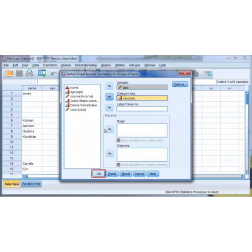 Установка IBM SPSS Statistics Установка IBM SPSS Statistics