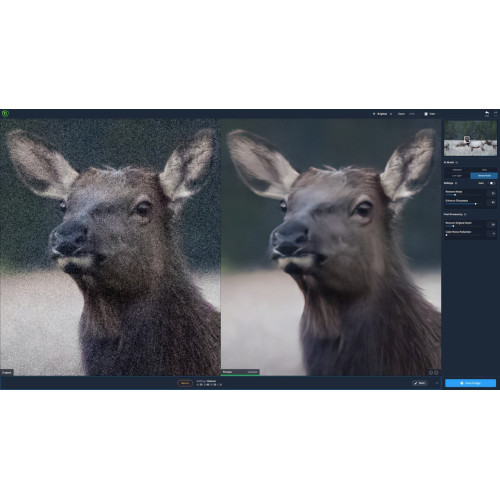 Удаленная установка Topaz DeNoise AI
